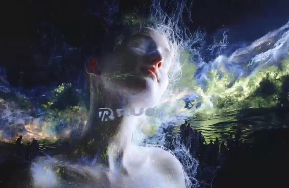 In the Silence, Life Awakens
