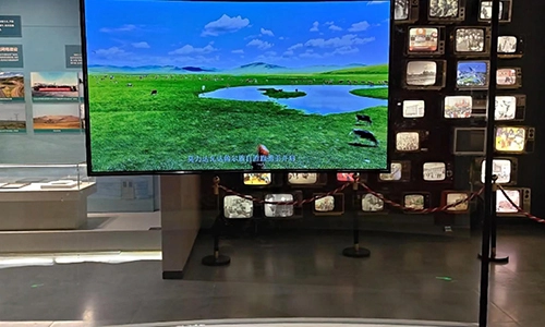 Hulunbuir Museum × 77-inch Flexible OLED Display — Where Technology and Space Curve in Harmony